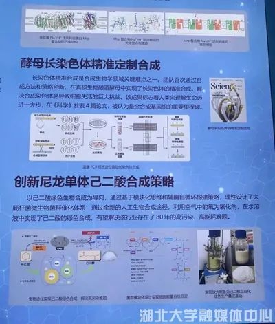 yl23455永利官网
