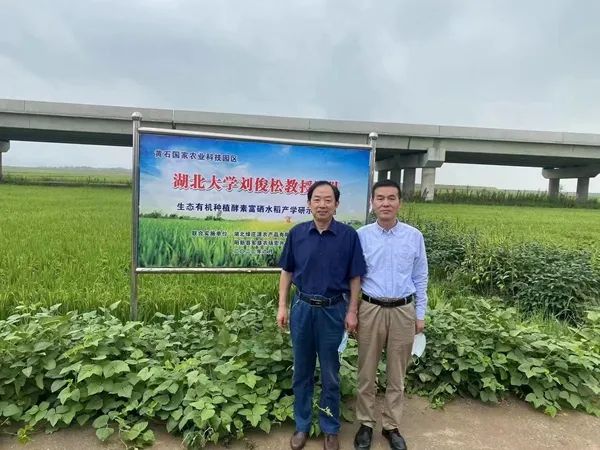 yl23455永利官网