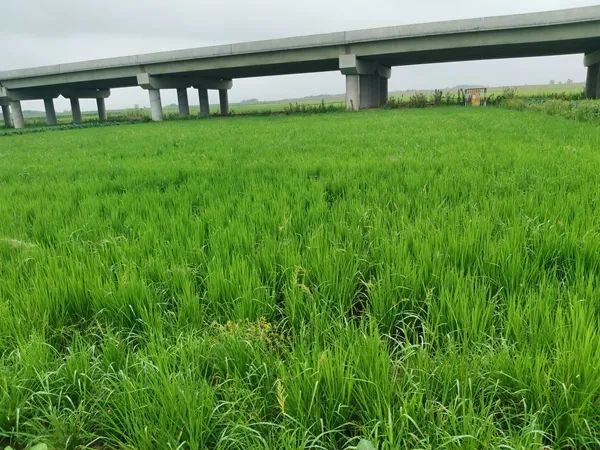 yl23455永利官网
